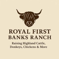 Royal First Banks Rach